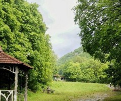  پارک جنگلی مکیدی دره‌سی کلیبر