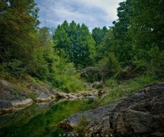  پل تاریخی شاه عباس